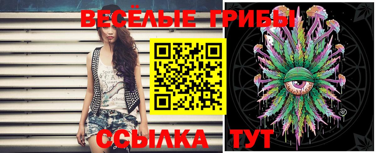 Псилоцибиновые грибы ЛСД  Вход с VPN  Псилоцибиновые грибы MAGIC MUSHROOMS  Сальск 